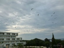 Уровень отеля выше заявленного