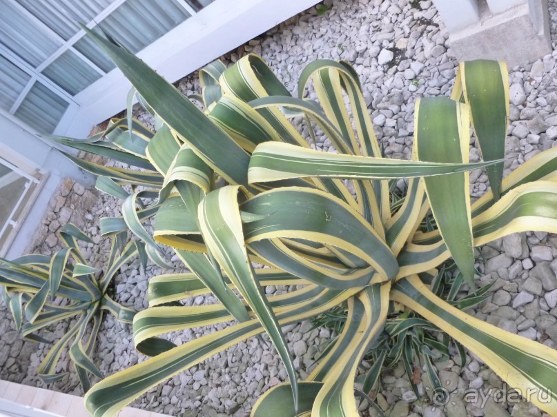 Уровень отеля выше заявленного