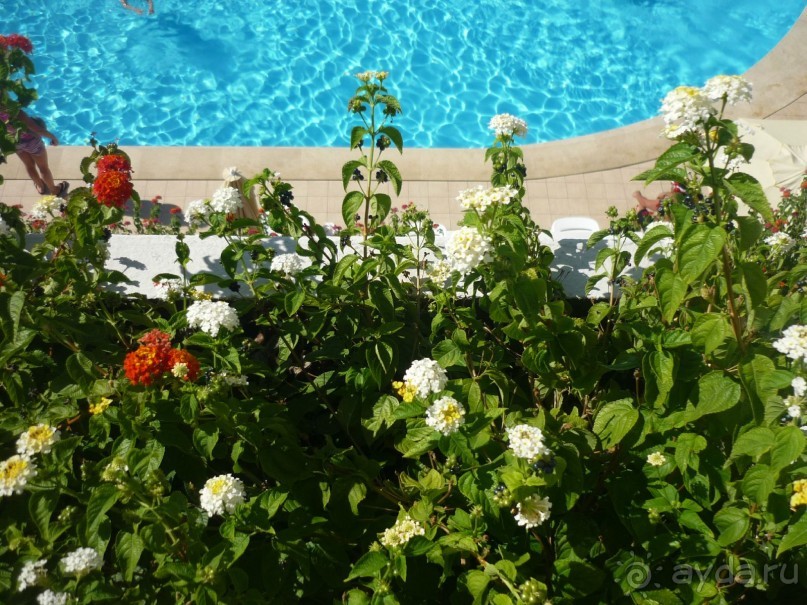 Уровень отеля выше заявленного