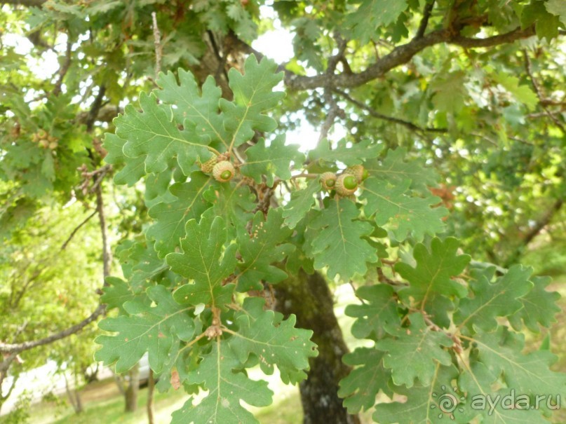 Уровень отеля выше заявленного
