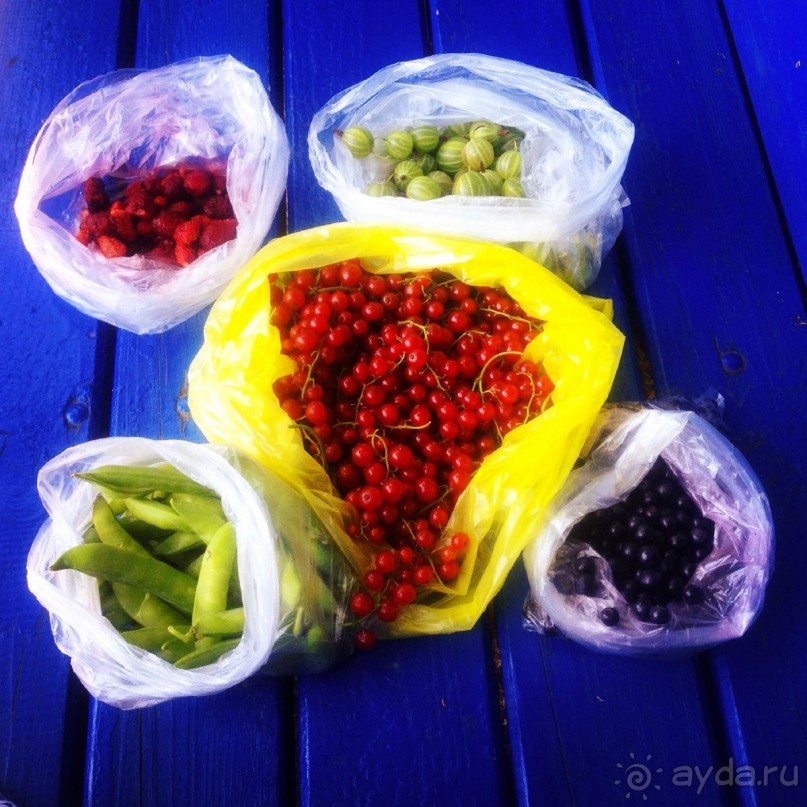 По России с любовью: ромашковые каникулы в Муроме