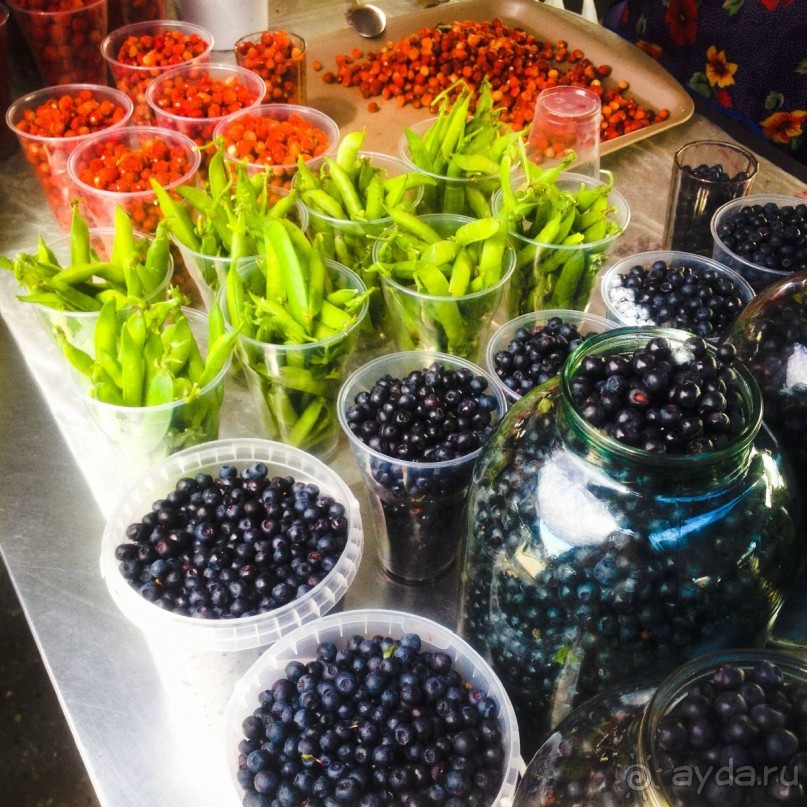 По России с любовью: ромашковые каникулы в Муроме