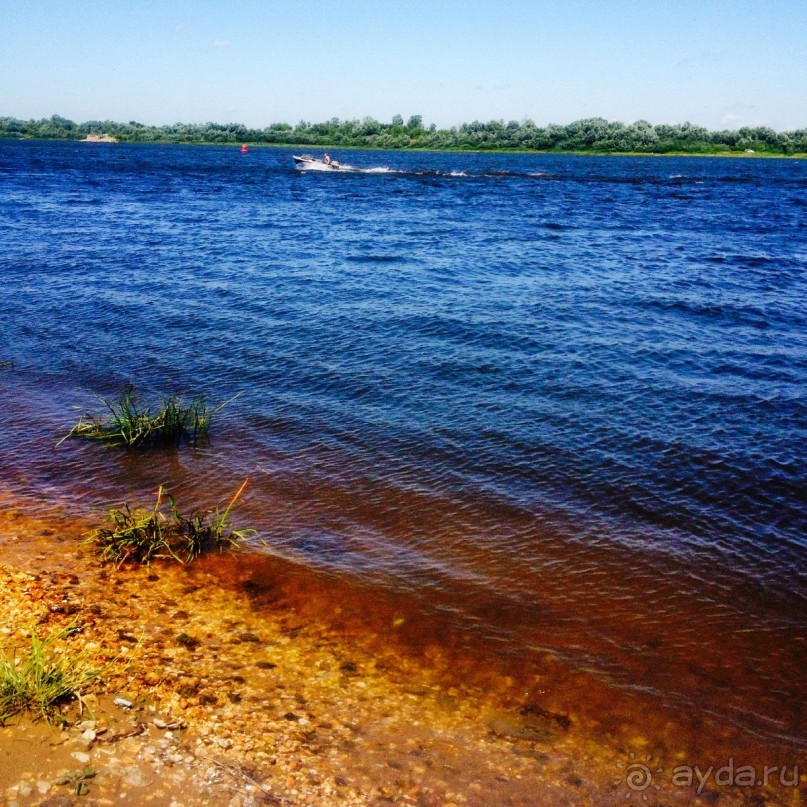 По России с любовью: ромашковые каникулы в Муроме