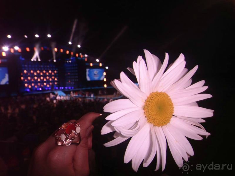 По России с любовью: ромашковые каникулы в Муроме