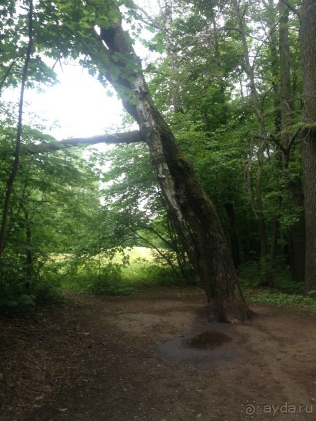 Альбом отзыва "Тула: не только самовары и пряники "