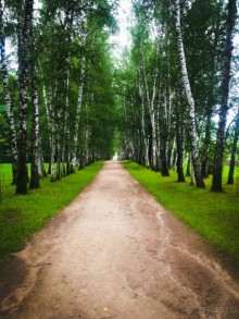 Альбом отзыва "Тула: не только самовары и пряники "