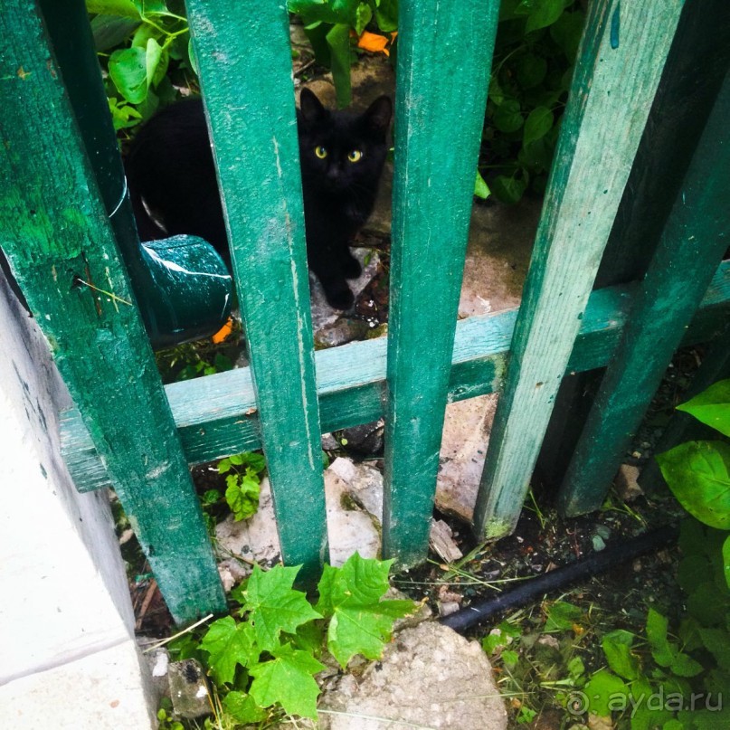 Тула: не только самовары и пряники 