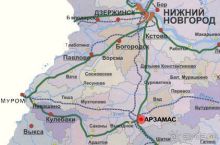 Арзамас: гуси-лебеди ждут в гости