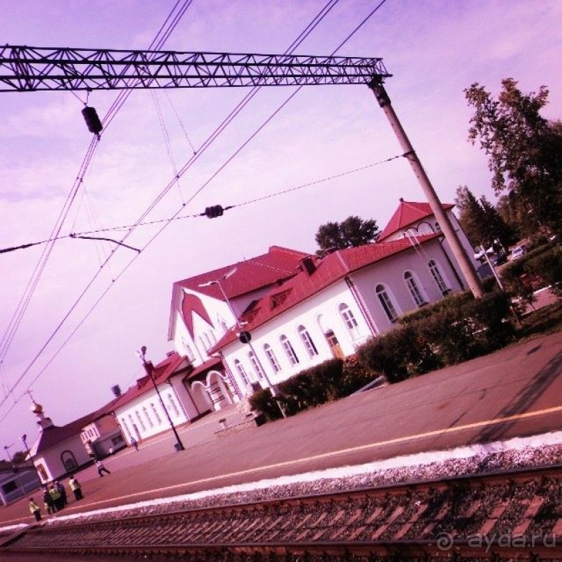 Арзамас: гуси-лебеди ждут в гости