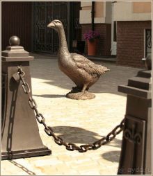 Арзамас: гуси-лебеди ждут в гости