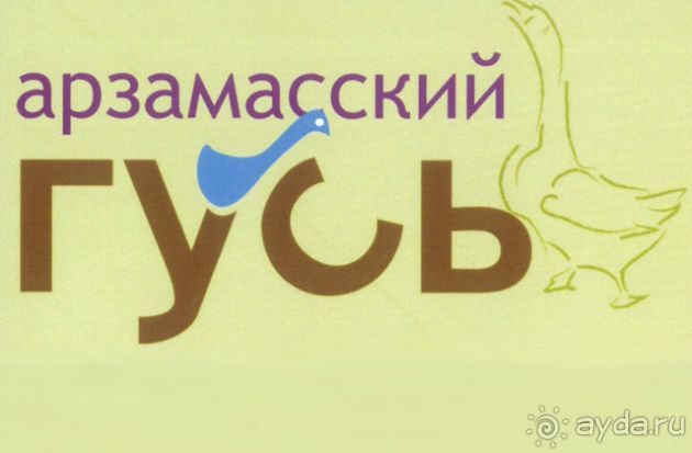 Арзамас: гуси-лебеди ждут в гости