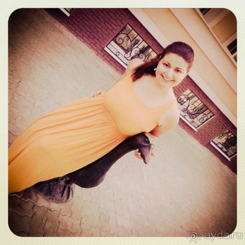 Арзамас: гуси-лебеди ждут в гости