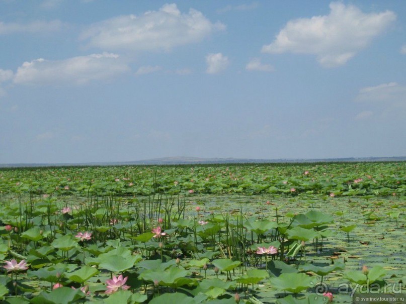 Из Челябинска в Геленджик на авто (часть 2)