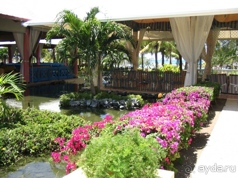 Супер-отель и отличный пляжный отдых