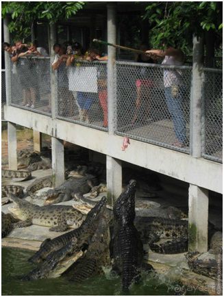 Впечатления о Сиамском вояже (часть 3)