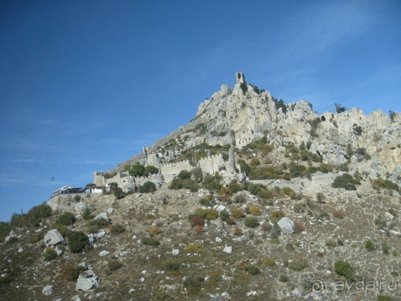 Двое мужчин в Айя-Напе