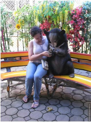 Впечатления о Сиамском вояже (часть 2)