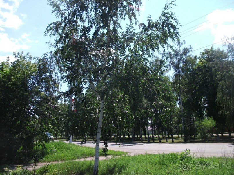 Борисоглебск - город на Вороне