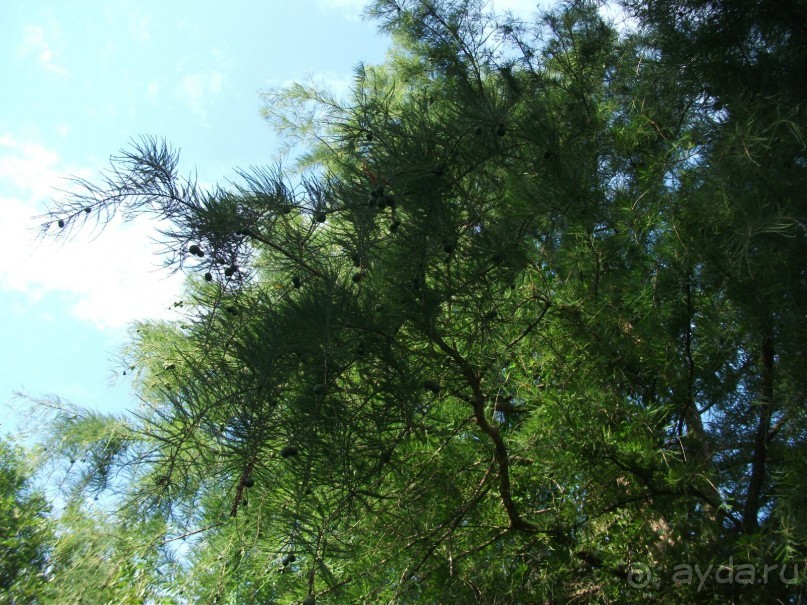 Тихий и уютный