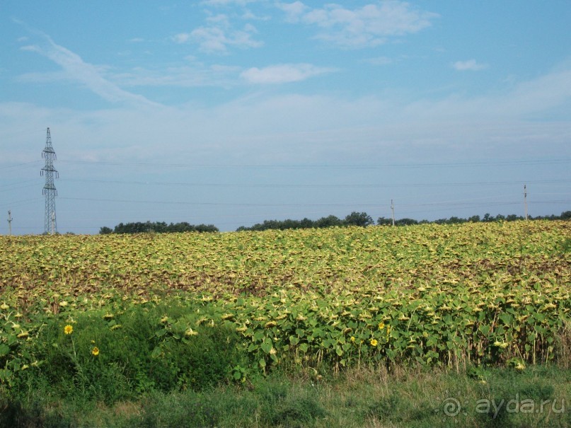 Тихий и уютный