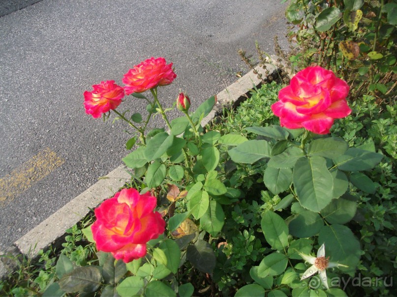 Тихий и уютный