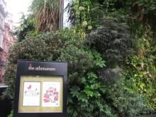 На "белые ночи" в Италию через Лондон и Ригу