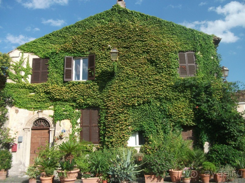 На "белые ночи" в Италию через Лондон и Ригу