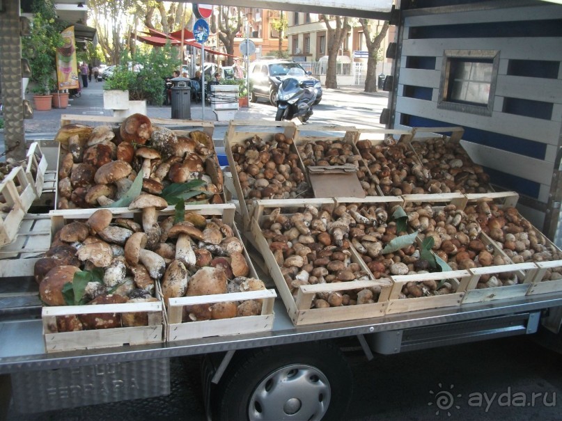 На "белые ночи" в Италию через Лондон и Ригу