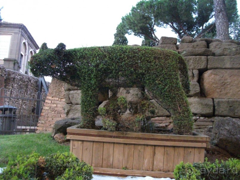 На "белые ночи" в Италию через Лондон и Ригу