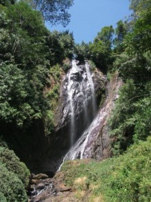 Шри-Ланка - две недели лета зимой!