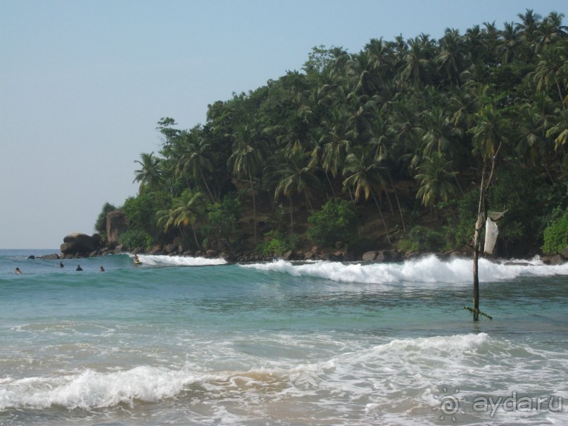 Шри-Ланка - две недели лета зимой!