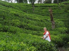 Шри-Ланка - две недели лета зимой!