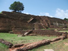 Шри-Ланка - две недели лета зимой!