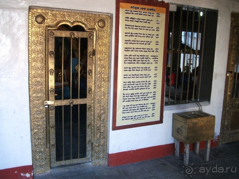 Шри-Ланка - две недели лета зимой!