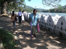 Шри-Ланка - две недели лета зимой!