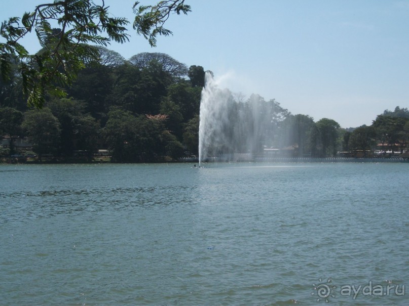 Шри-Ланка - две недели лета зимой!