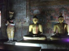 Шри-Ланка - две недели лета зимой!