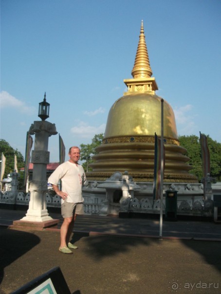 Шри-Ланка - две недели лета зимой!