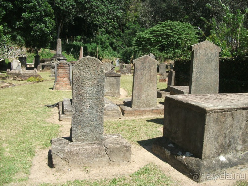 Шри-Ланка - две недели лета зимой!