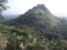 Шри-Ланка - две недели лета зимой!