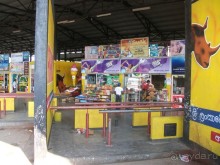 Шри-Ланка - две недели лета зимой!