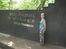 Шри-Ланка - две недели лета зимой!