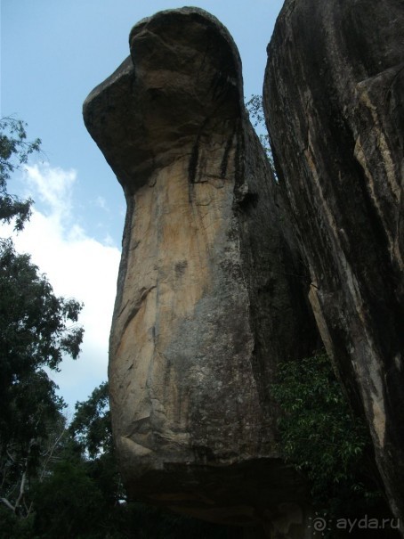 Шри-Ланка - две недели лета зимой!