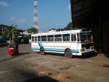 Шри-Ланка - две недели лета зимой!