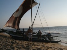 Шри-Ланка - две недели лета зимой!