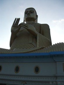 Шри-Ланка - две недели лета зимой!