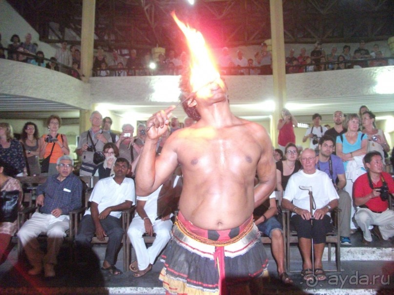 Шри-Ланка - две недели лета зимой!