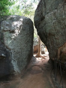 Шри-Ланка - две недели лета зимой!