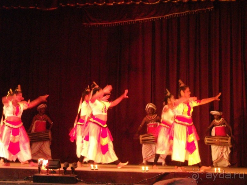 Шри-Ланка - две недели лета зимой!