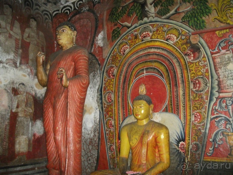 Шри-Ланка - две недели лета зимой!